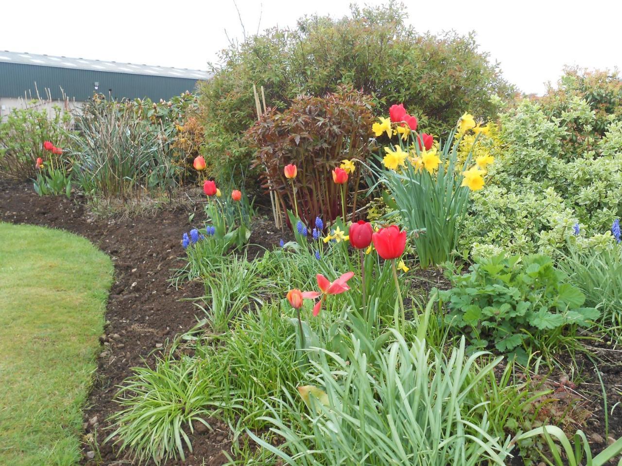 Tambowie Farm Bed & Breakfast Milngavie Luaran gambar