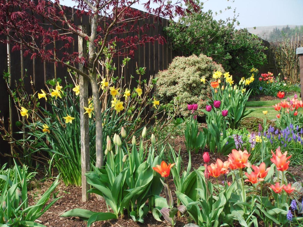 Tambowie Farm Bed & Breakfast Milngavie Luaran gambar